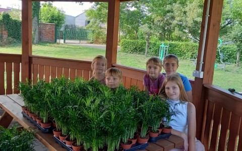 IMG-20220827-WA0022