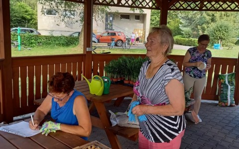 IMG-20220827-WA0052
