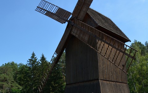 _DSC0255