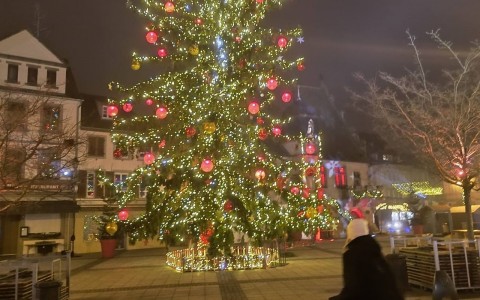 Schowek_12-19-2025_09