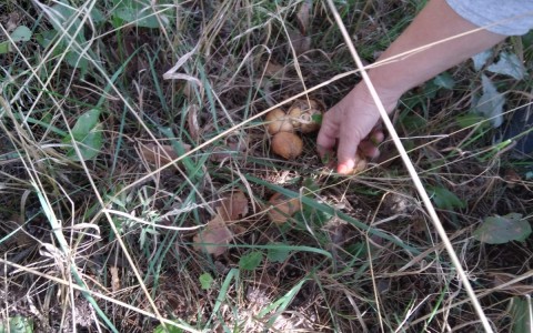 IMG-20220903-WA0007