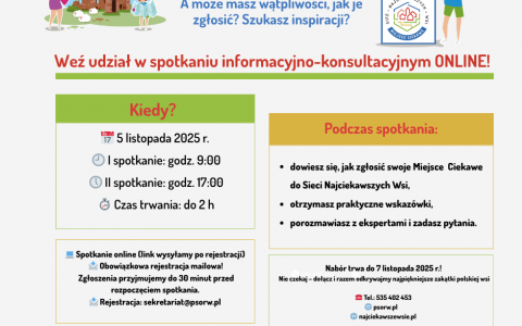 Spotkanie_online